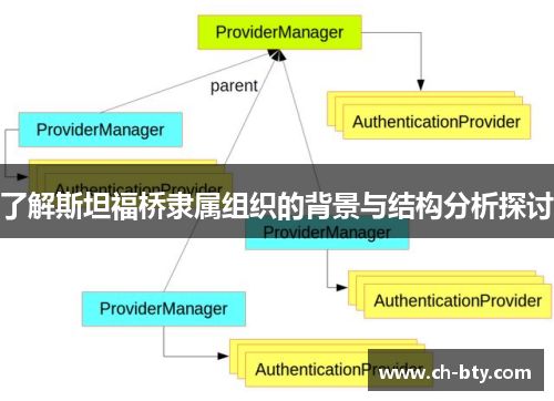 了解斯坦福桥隶属组织的背景与结构分析探讨