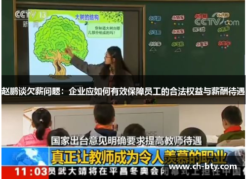 赵鹏谈欠薪问题：企业应如何有效保障员工的合法权益与薪酬待遇