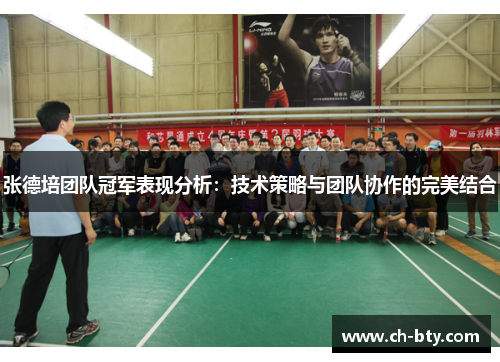 张德培团队冠军表现分析：技术策略与团队协作的完美结合
